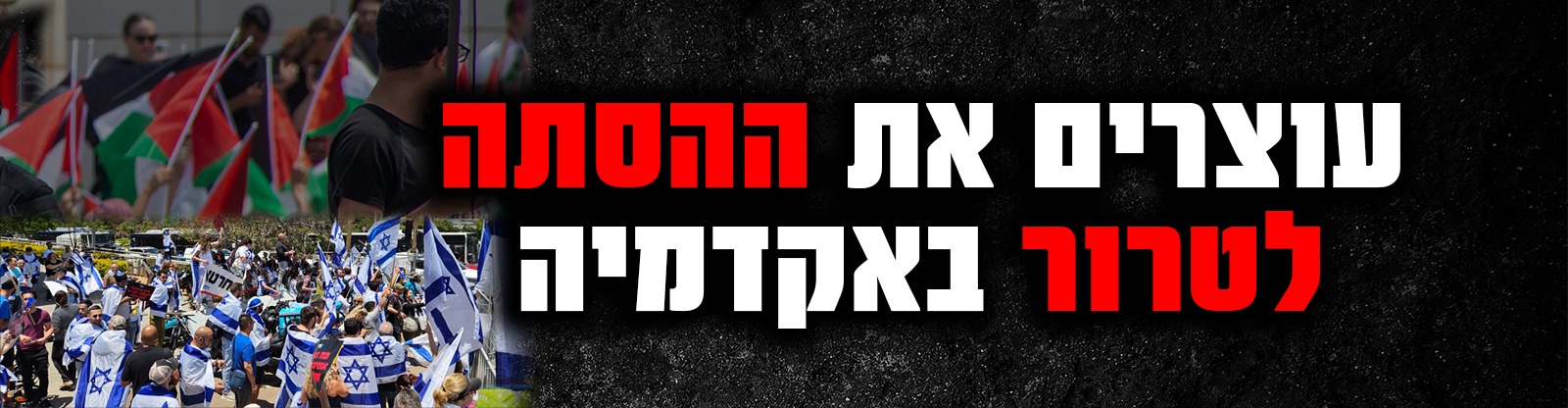 WhatsApp Image 2025-07-17 at 15.56.52