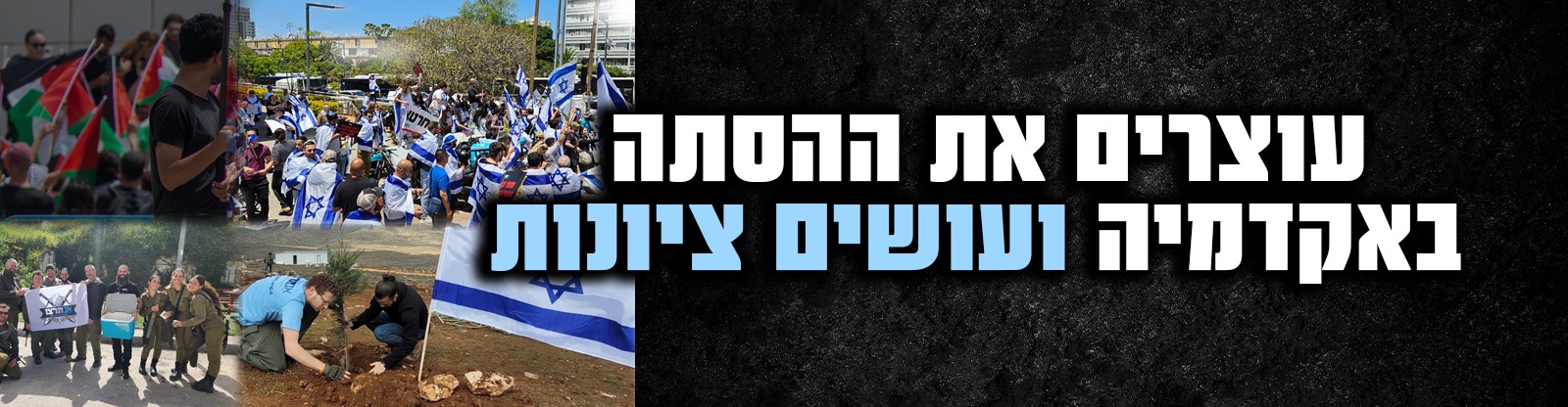 WhatsApp Image 2025-07-17 at 15.56.53