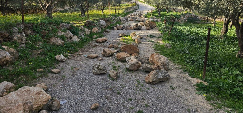 אבנים שהושלכו לשטח המרעה במהלך התקיפה סמוך למכמש, בנימין.