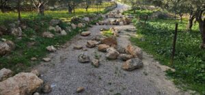 אבנים שהושלכו לשטח המרעה במהלך התקיפה סמוך למכמש, בנימין.